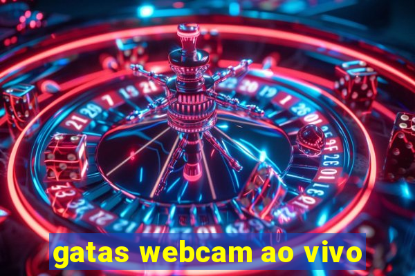 gatas webcam ao vivo